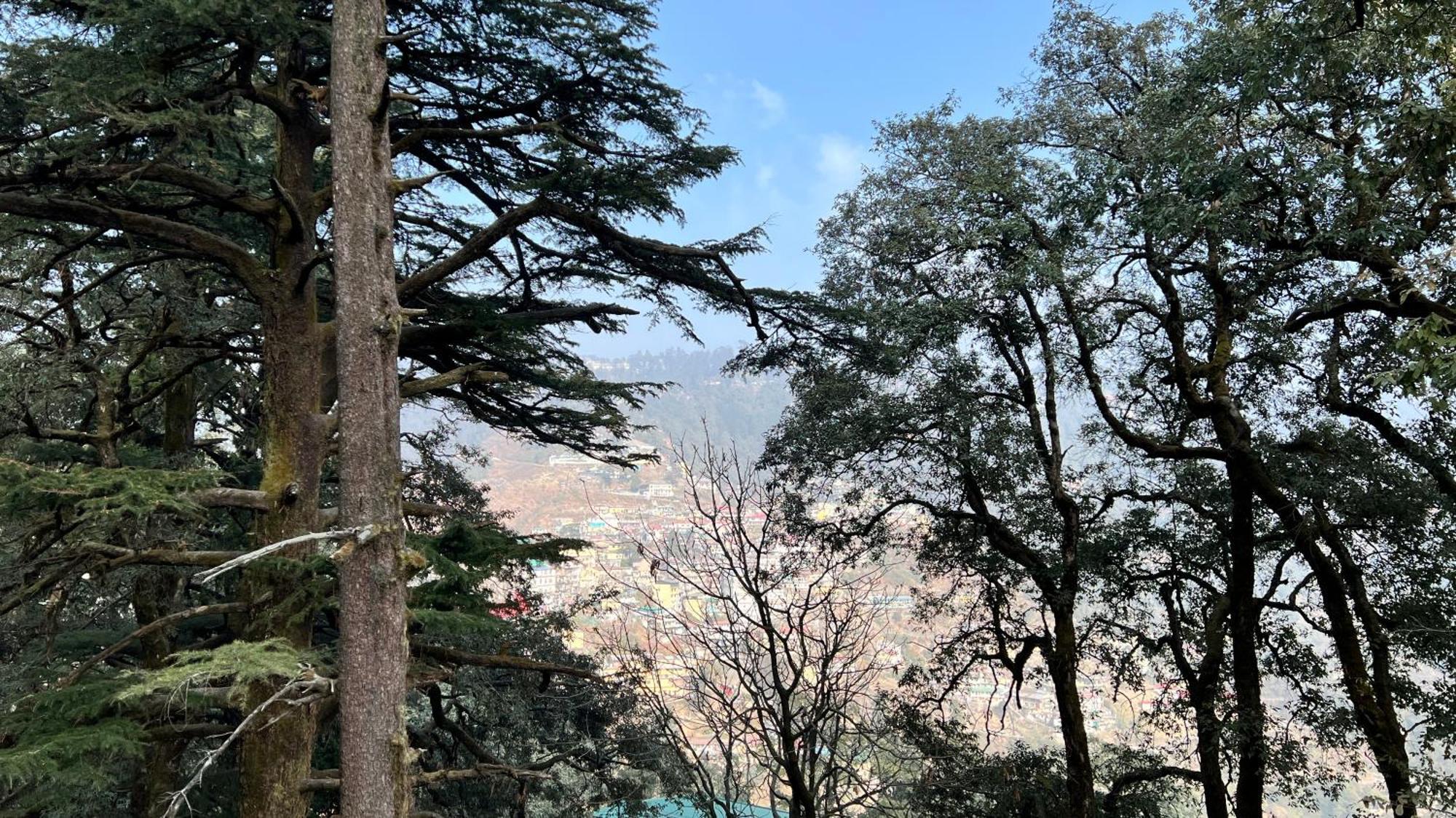 Hotel Pride Inn - 800 Mts From Mall Road Mussoorie Ngoại thất bức ảnh
